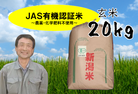 【令和6年産新米予約】JAS有機認証米コシヒカリ 玄米 20kg 10月上旬より順次発送予定 精米も可 1G09050