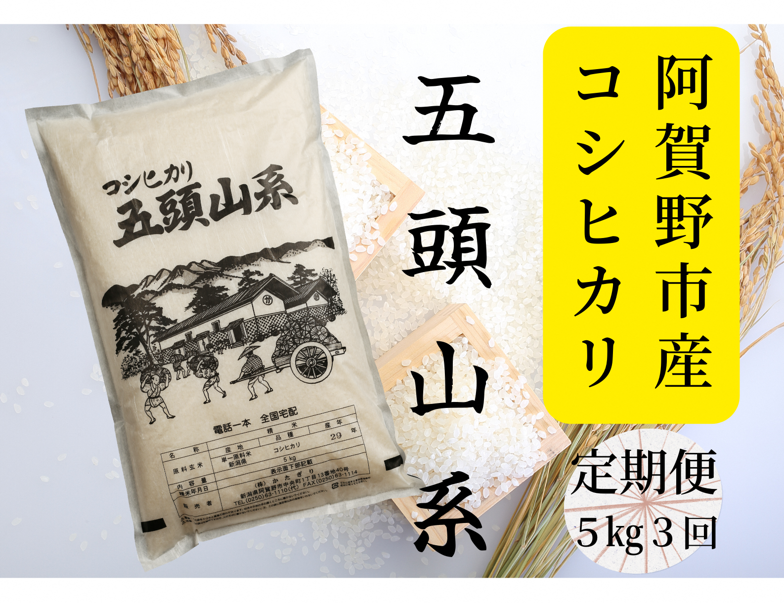 【3回定期便】「米屋のこだわり阿賀野市産」コシヒカリ5kg×3回 1E06027