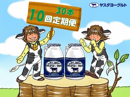 【10か月定期便】ヤスダヨーグルト 150g×30本×10回 小ボトル こだわり生乳 新鮮 濃厚 飲むヨーグルト のむよーぐると ヨーグルト 1B15131