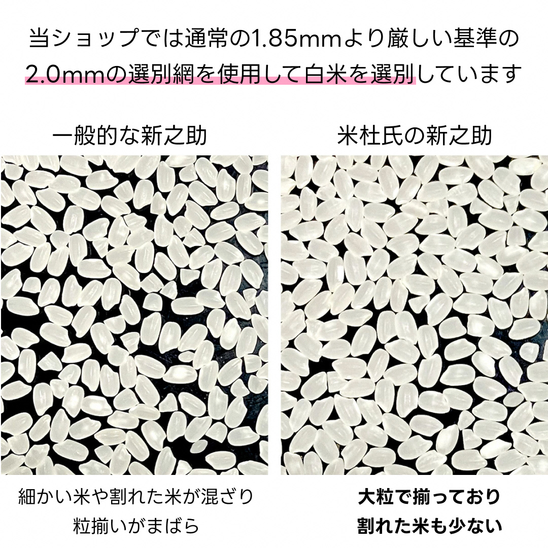 【新米】 新潟県阿賀野市産 新之助 5kg 米杜氏 壱成 白米 精米 大粒 つや 光沢 弾力 芳醇 1H51014