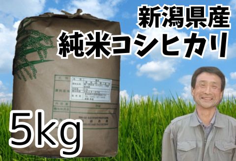【令和7年産】新潟県産 純米コシヒカリ 5kg さいとう農園 白米 精米 米 こめ ごはん コシヒカリ こしひかり 1G17016