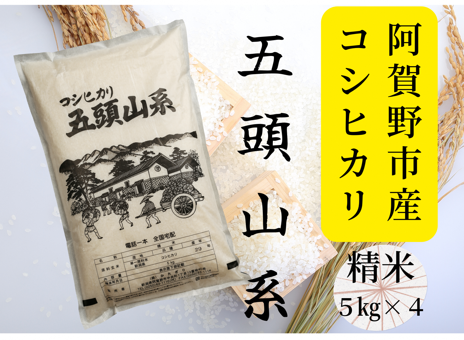 「米屋のこだわり阿賀野市産」コシヒカリ どーんと２０kg！ 1E03033