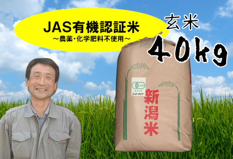 【令和6年産新米】JAS有機認証米コシヒカリ 玄米 40kg 精米も可 1G10101