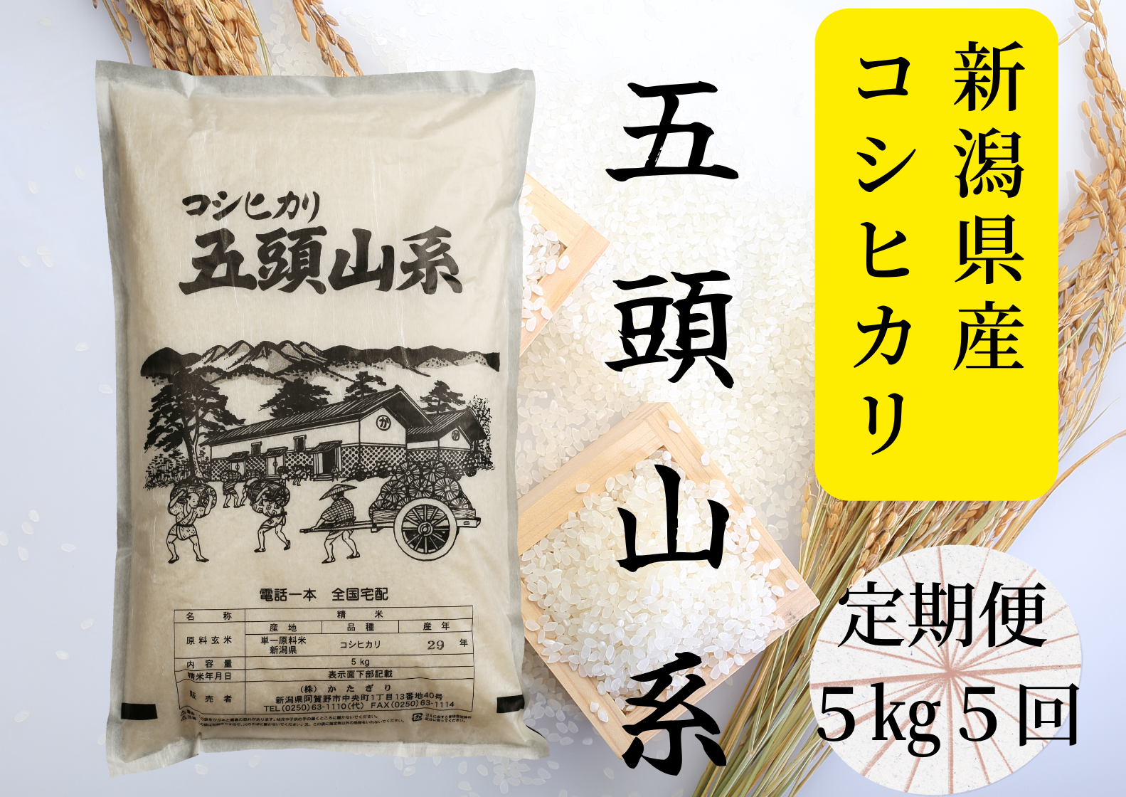 【5回定期便】「米屋のこだわり阿賀野市産」コシヒカリ5kg×5回 1E22044