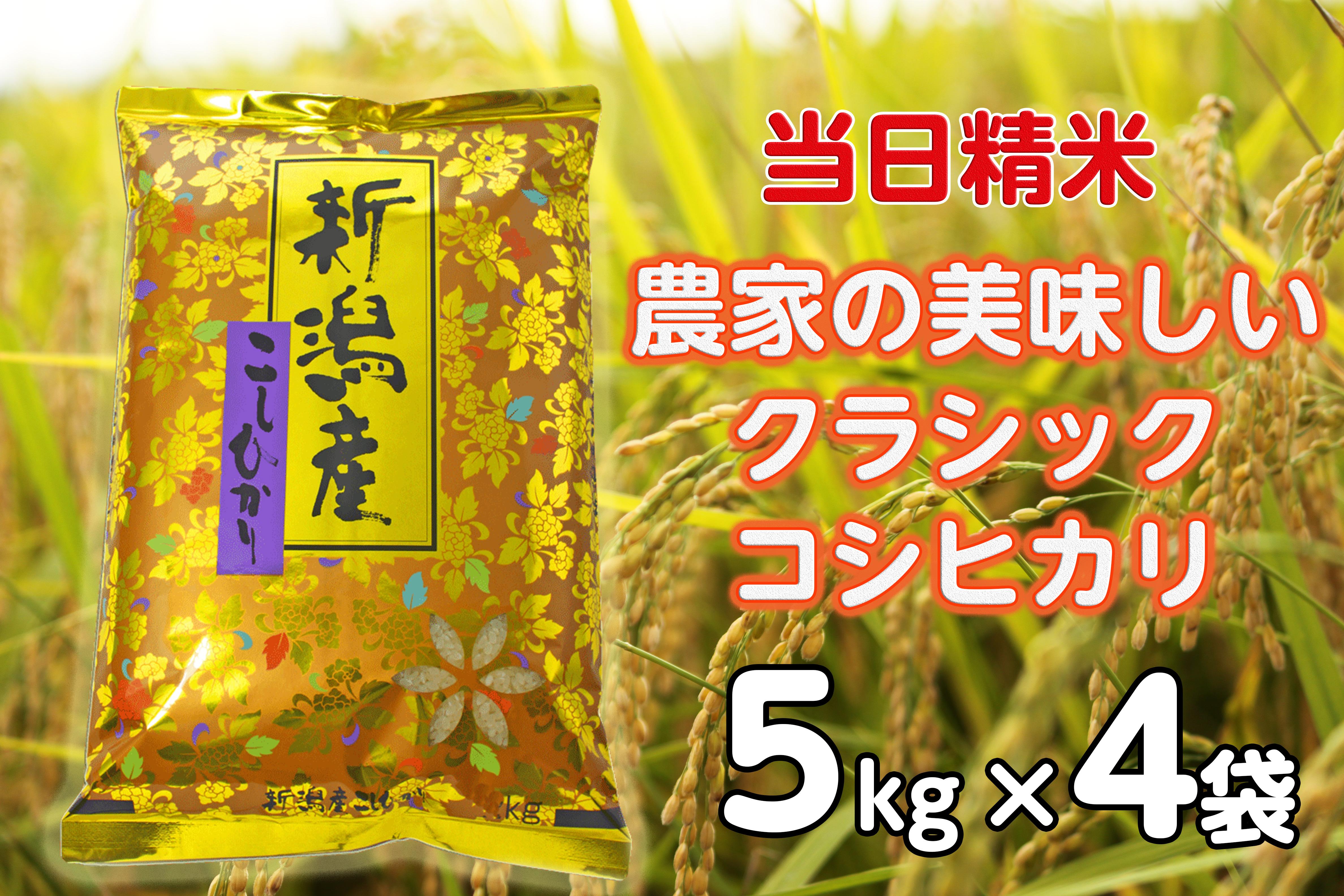 【令和6年産新米】 当日精米! 農家直送 美味しい クラシックコシヒカリ 5kg×4袋 計20kg 精米 白米 水原町農産センター 1F25046