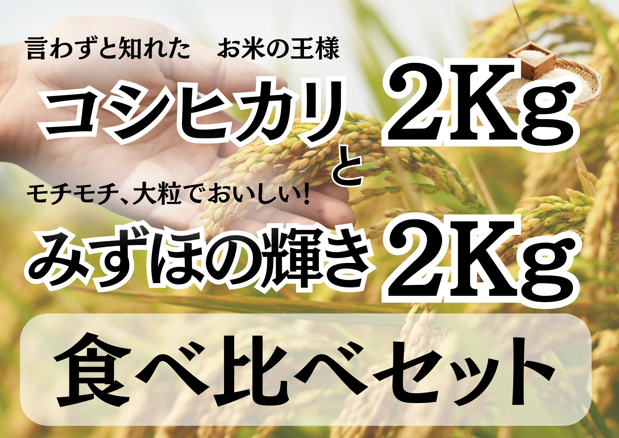 【新米】糀屋こだわり自家栽培 コシヒカリ＆みずほの輝き 食べ比べセット 各2kg(計4kg)  3B01008