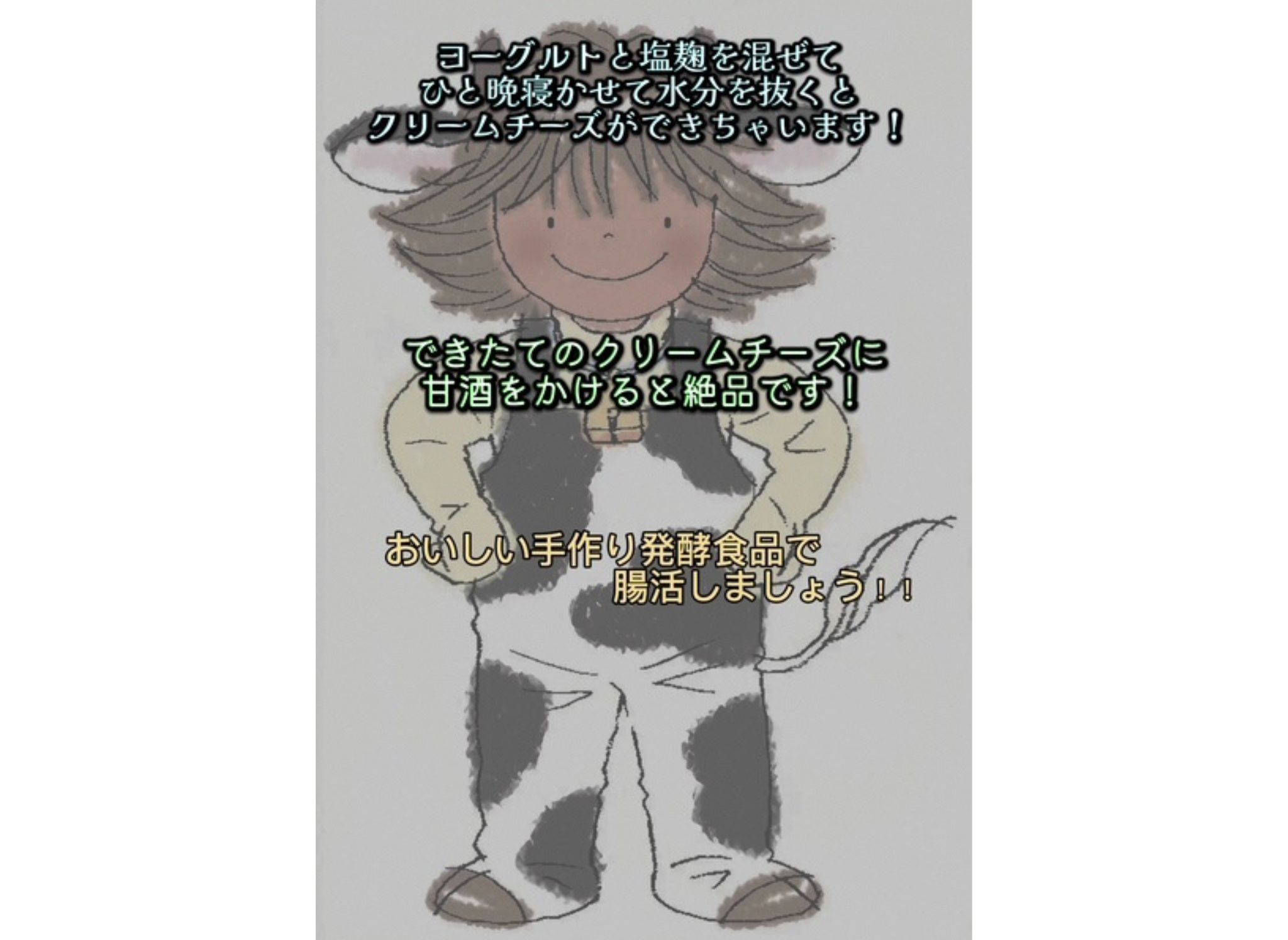 ＜冬春限定＞作って楽しい腸活クリームチーズ　手作りキット（レシピ付き） 手作り チーズ 腸活 1B88013