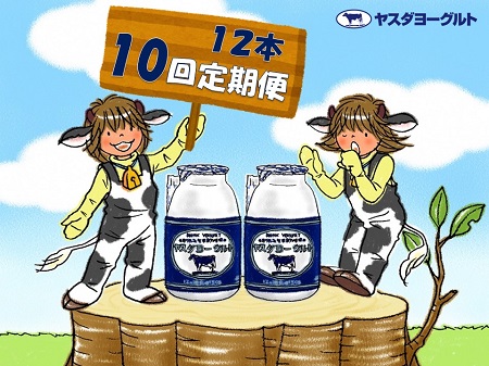 【10か月定期便】ヤスダヨーグルト 150g×12本×10回 小ボトル こだわり生乳 新鮮 濃厚 飲むヨーグルト のむよーぐると ヨーグルト 1B05061