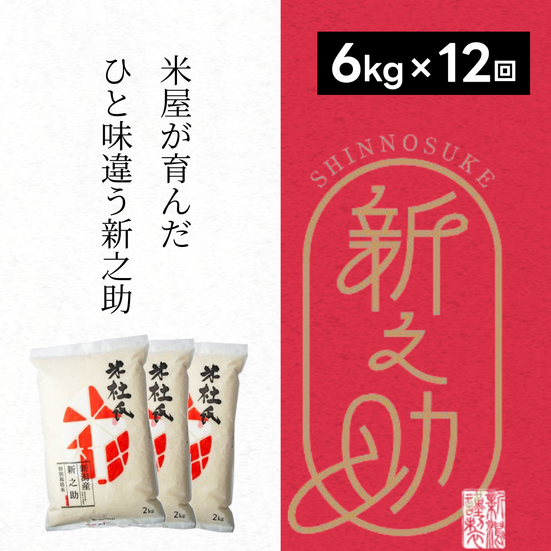 【新米】 12ヶ月定期便 特別栽培米 新之助 6kg (2kg×3袋)×12回 米杜氏 壱成 白米 精米 大粒 つや 光沢 弾力 芳醇 1H26169