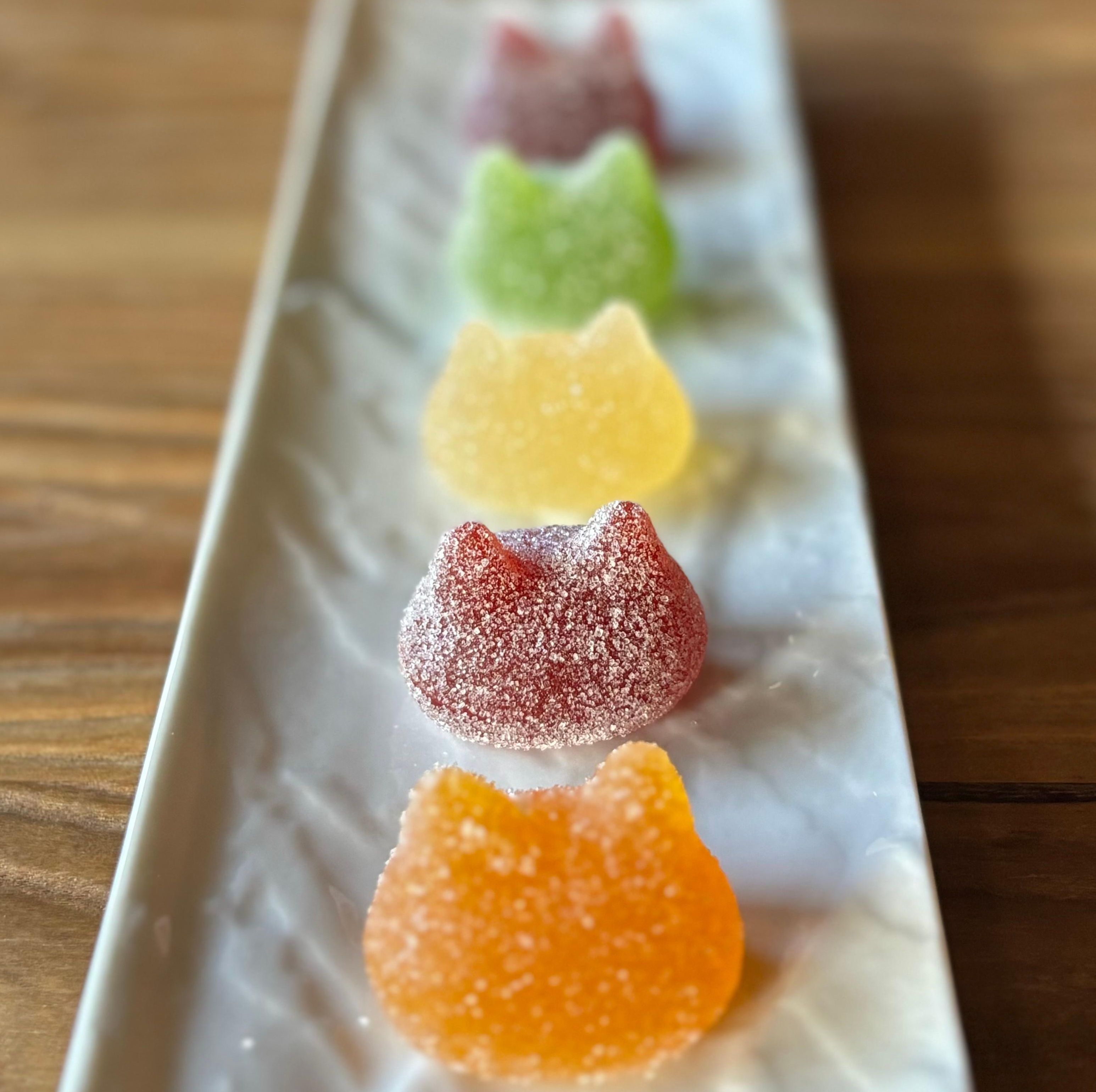 しょこら亭 シャ・ド・フリュイ（chat・do・fruits） 5個入り×4セット お菓子 菓子 スイーツ 洋菓子 フランス伝統菓子 贈答 1Z47024