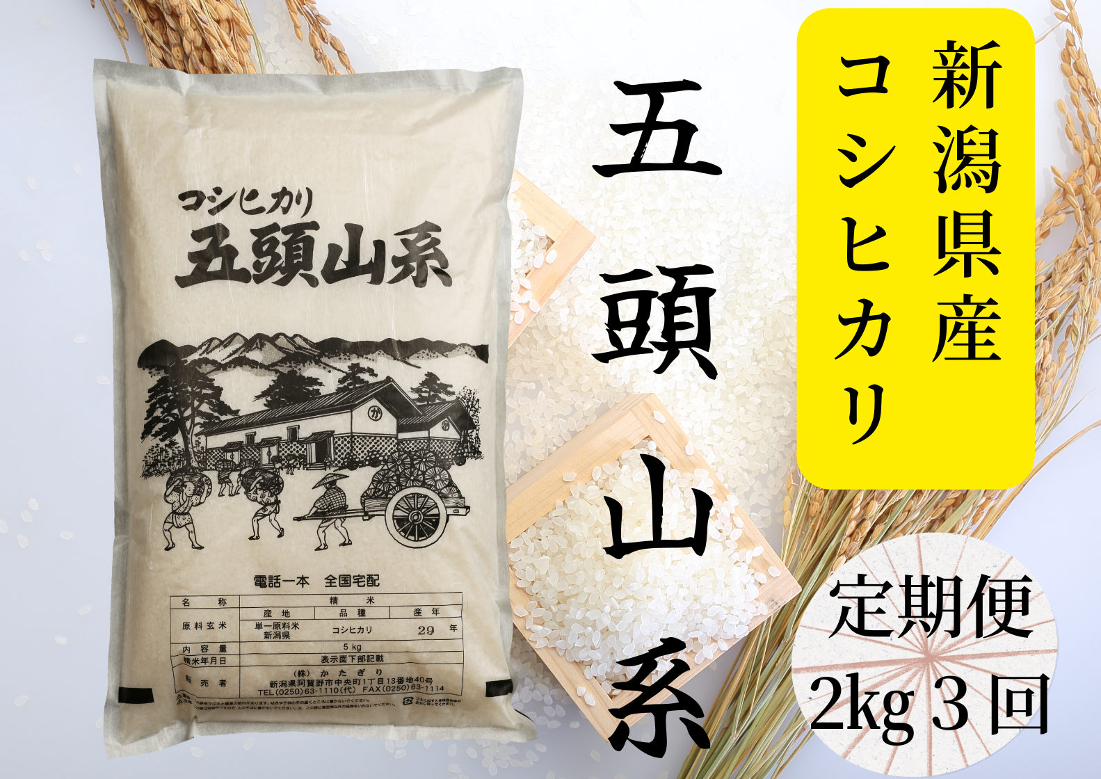 【3回定期便】「米屋のこだわり阿賀野市産」コシヒカリ2kg×3回 1E18015