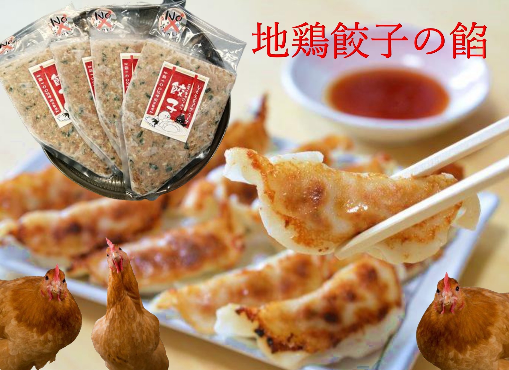 手作り地鶏餃子の餡 4本セット 1R03012