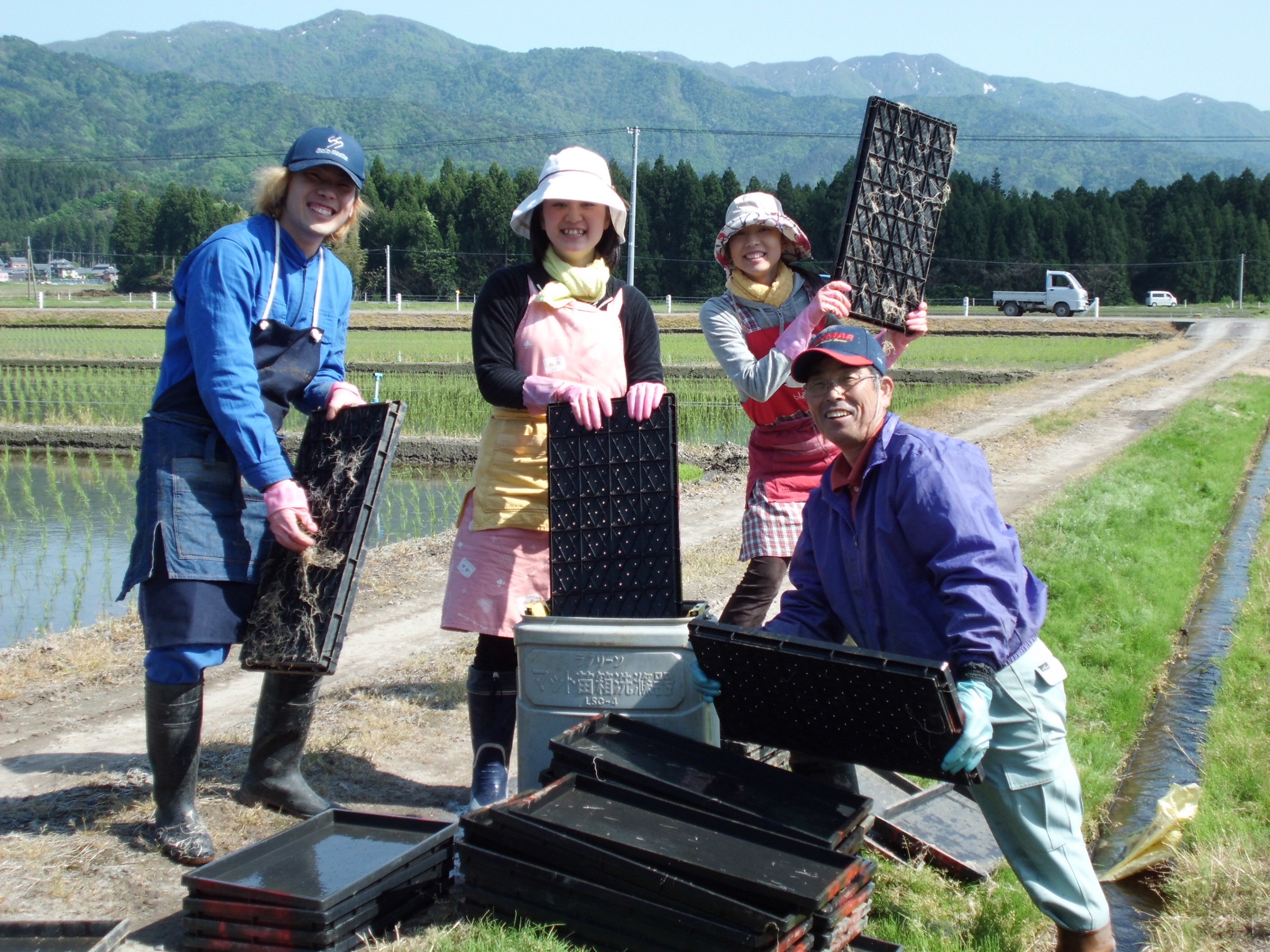 【令和6年産新米予約】旧笹神村産コシヒカリ 2kg＆新之助 2kg (美味しいお米食べ比べセット) 10月中旬より順次発送予定 1Q09011