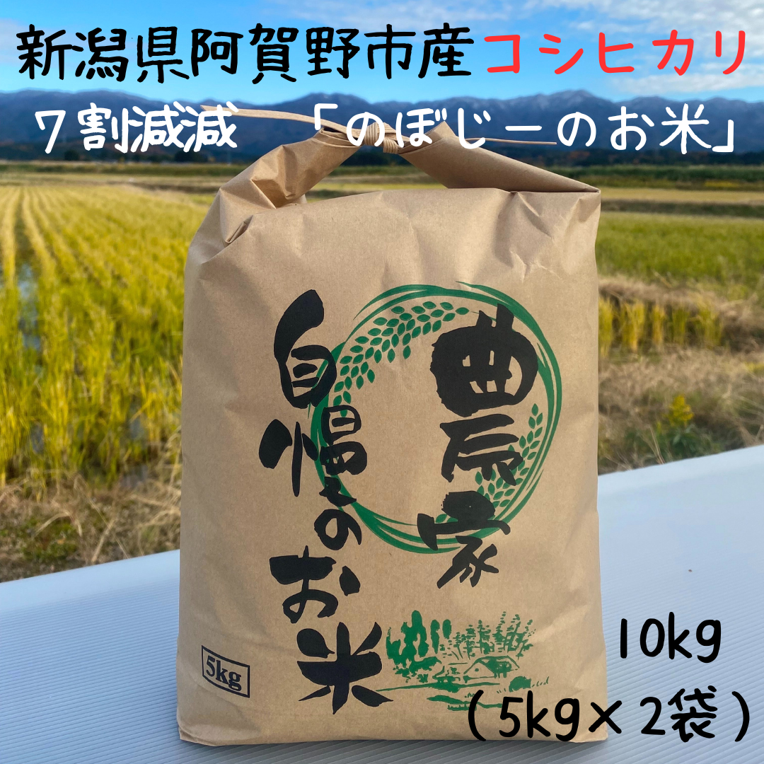 阿賀野市産 コシヒカリ 「のぼじーのお米」 100% 10kg (5kg×2袋) 7割減減 精米 白米 3J01027