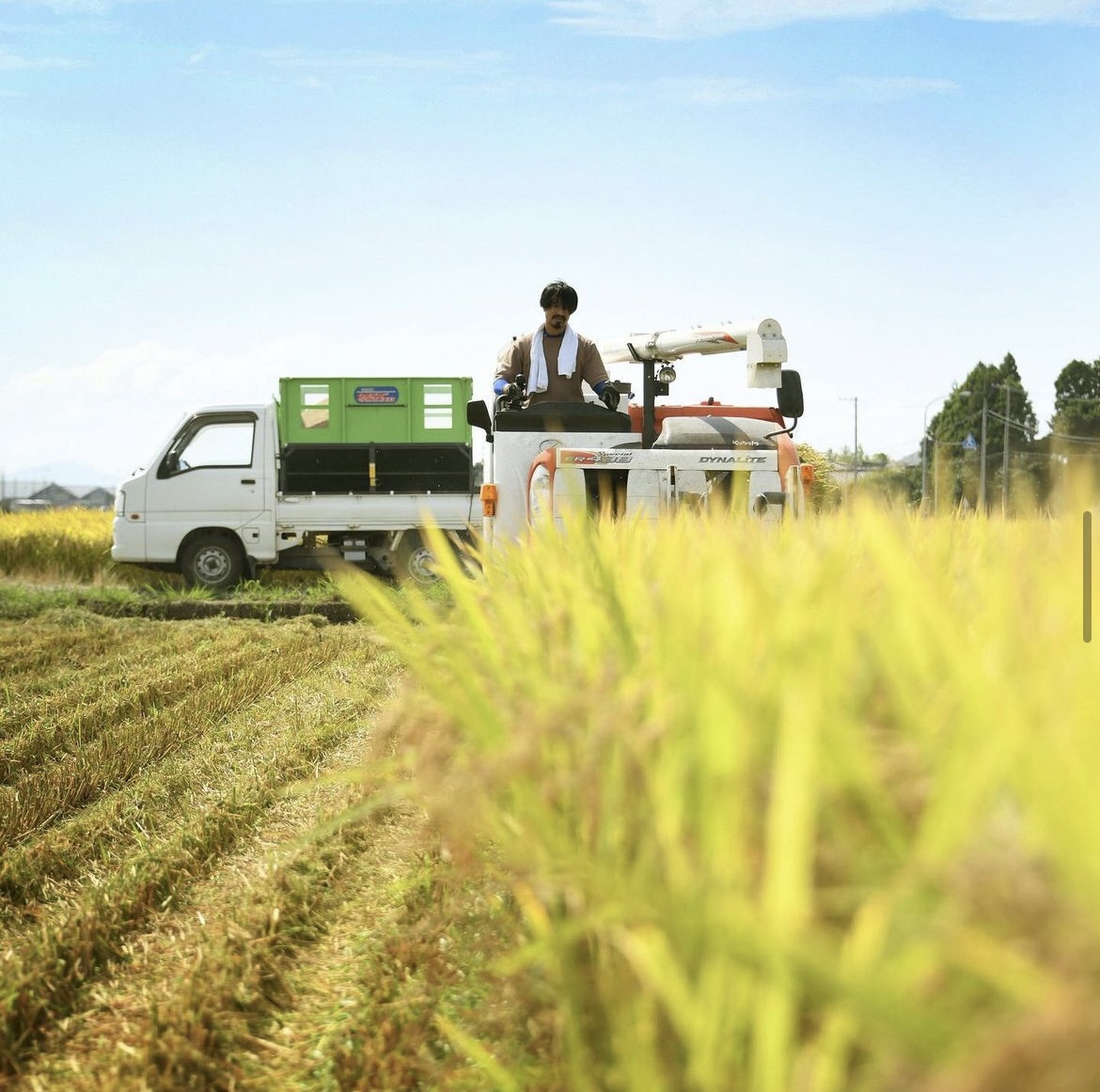 いのちの壱パック ご飯 150g × 20パック 米 白米 大粒 艶やか 甘み 保存食 簡単 手軽 新潟県 阿賀野市 3D13020