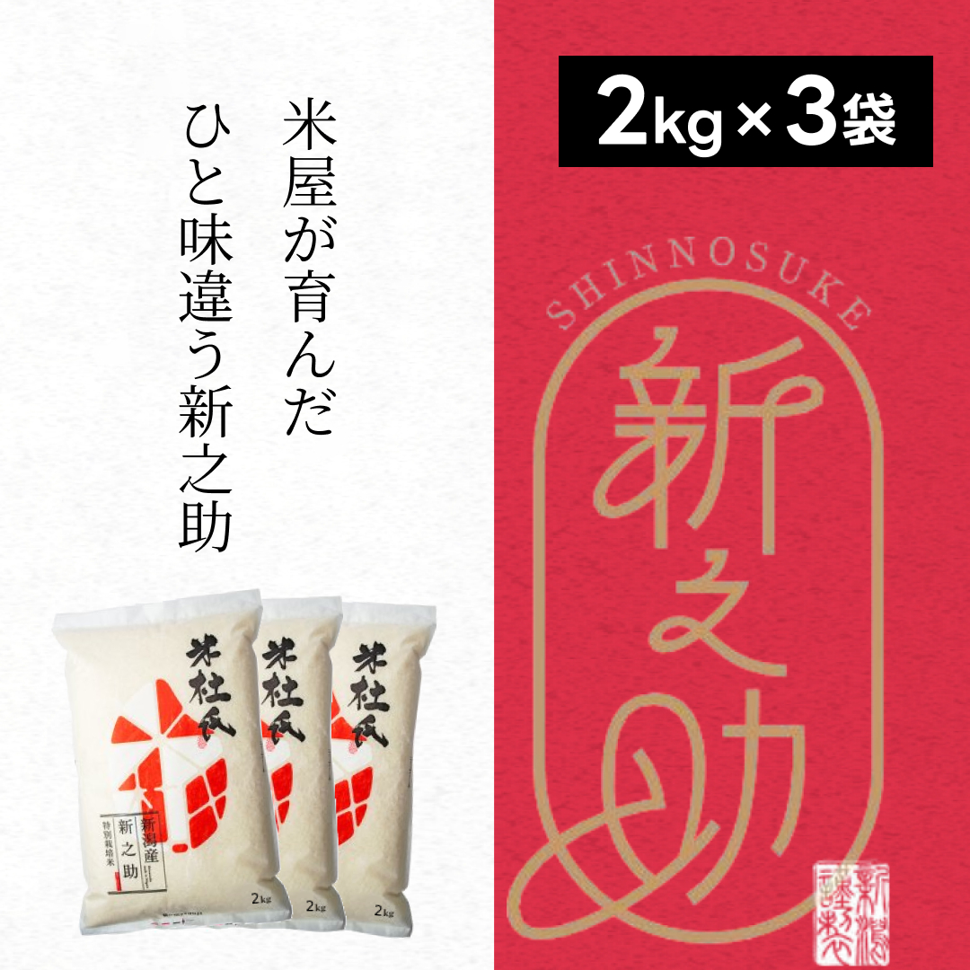 【新米】 特別栽培米 新之助 6kg (2kg×3袋) 米杜氏 壱成 白米 精米 大粒 つや 光沢 弾力 芳醇 1H01014