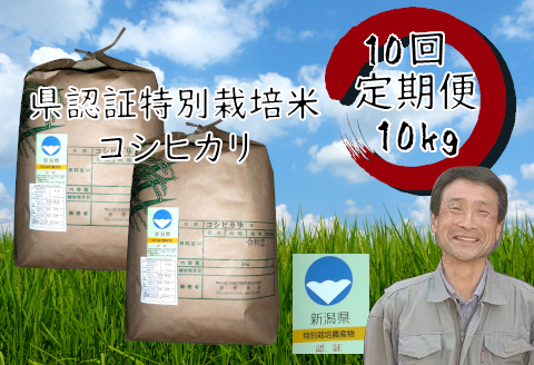【10回定期便】新潟県認証！特別栽培米 コシヒカリ 10kg 1G03200