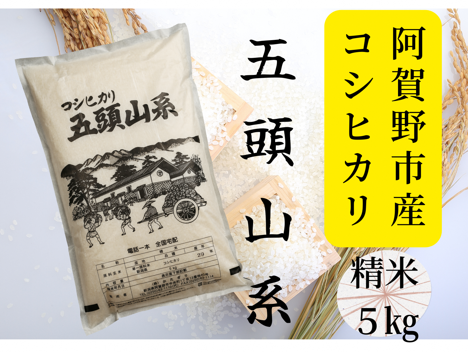【新潟産コシヒカリ】 5kg 「五頭山系」 米屋のこだわり阿賀野市産 米屋かたぎり 1E01009