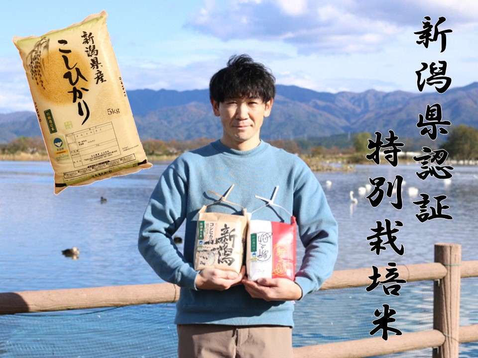 【新潟県認証米】  特別栽培米 従来コシヒカリ5kg 阿賀野市産 3F01010