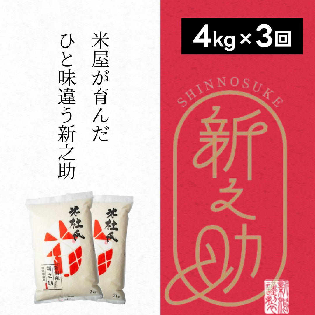 【新米】【3ヶ月定期便】 特別栽培米 新之助 4kg (2kg×2袋)×3回 米杜氏 壱成 白米 精米 大粒 つや 光沢 弾力 芳醇 1H42030