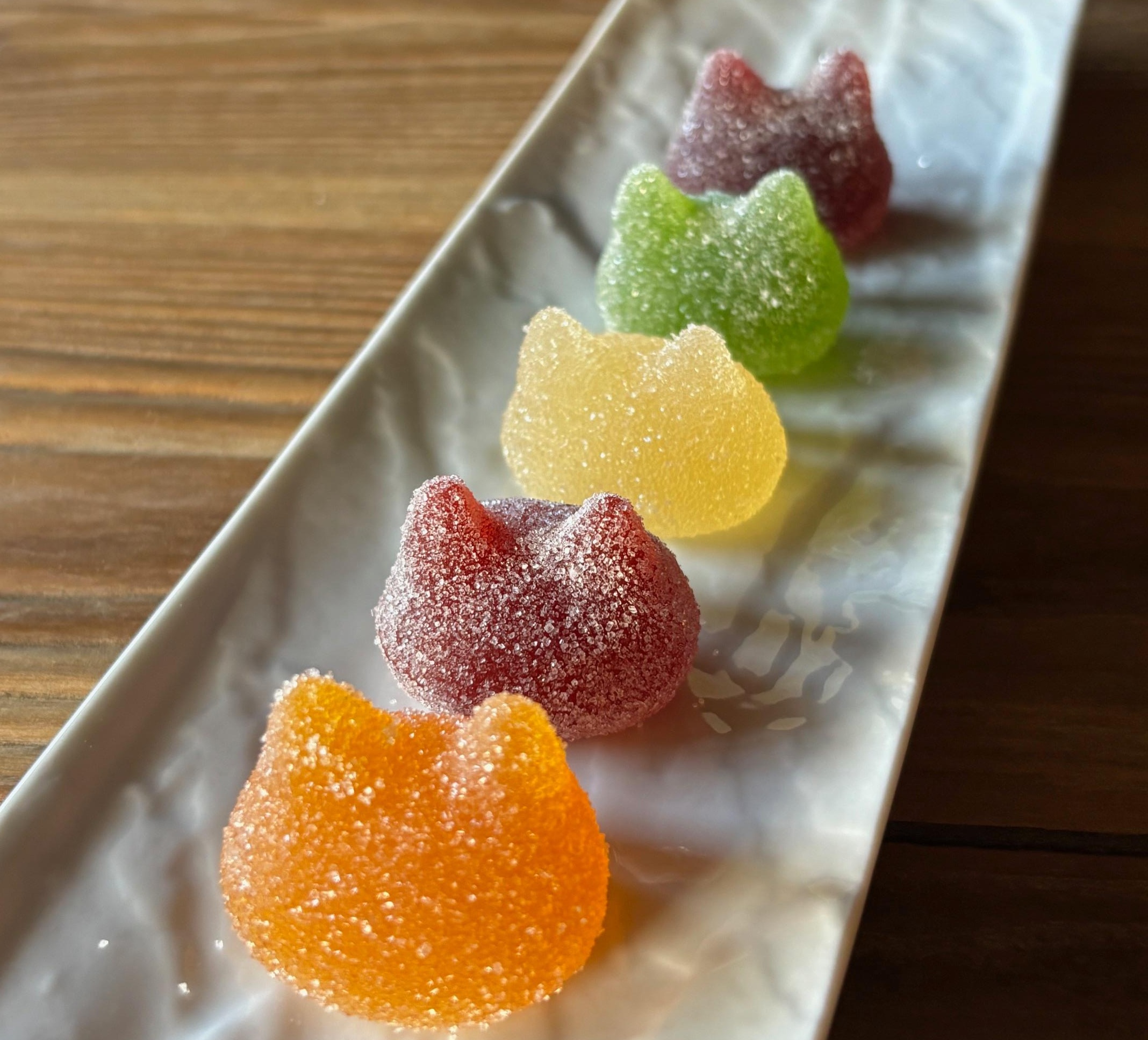 しょこら亭 猫チョコ（4個入）＆ シャ・ド・フリュイ（5個入） 各3セット  お菓子 菓子 スイーツ チョコレート 洋菓子 フランス伝統菓子 贈答 1Z44040