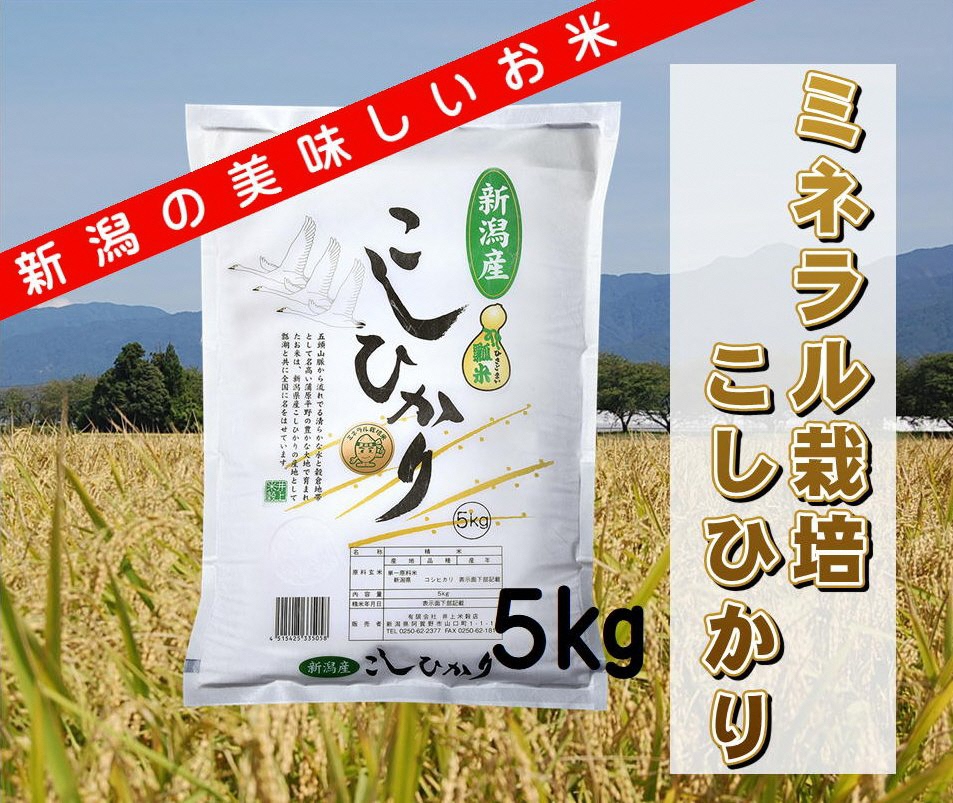 ミネラル栽培こしひかり 5kg 井上米穀店 1I01008
