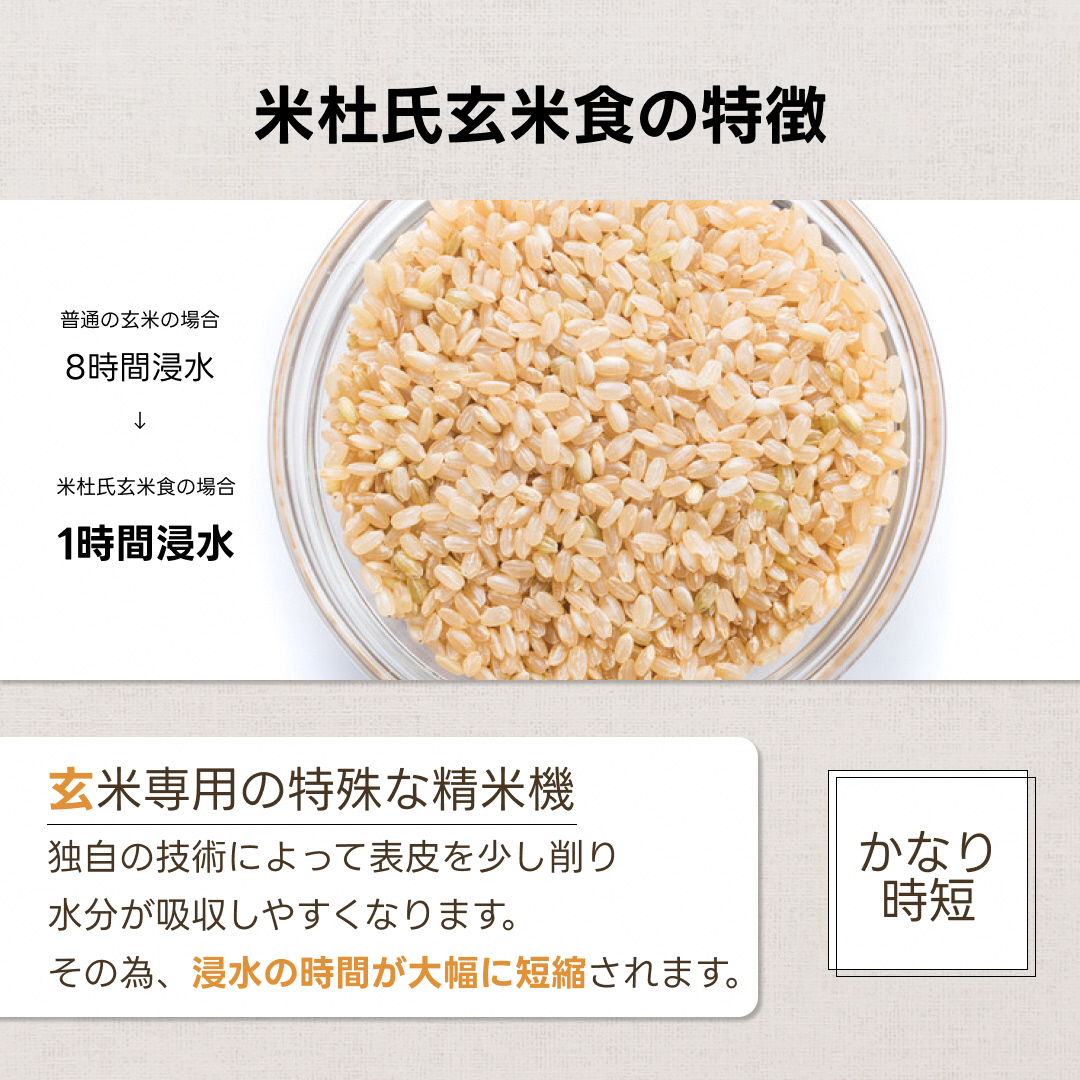 【新米】【6ヶ月定期便】【炊飯器で普通に炊ける玄米】 ふっくら玄米食 6kg（2kg×3）×6回 新潟県阿賀野市産 米杜氏 壱成 特別栽培コシヒカリ 1H33079