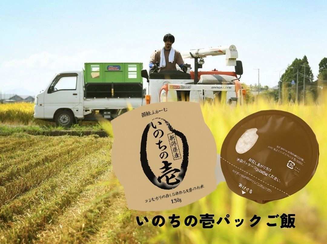 いのちの壱パック ご飯 150g × 20パック 米 白米 大粒 艶やか 甘み 保存食 簡単 手軽 新潟県 阿賀野市 3D13020