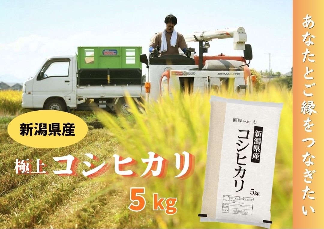 [令和7年産]新潟県阿賀野市産 コシヒカリ 5kg 米 こめ コメ 白米 精米 3D14015