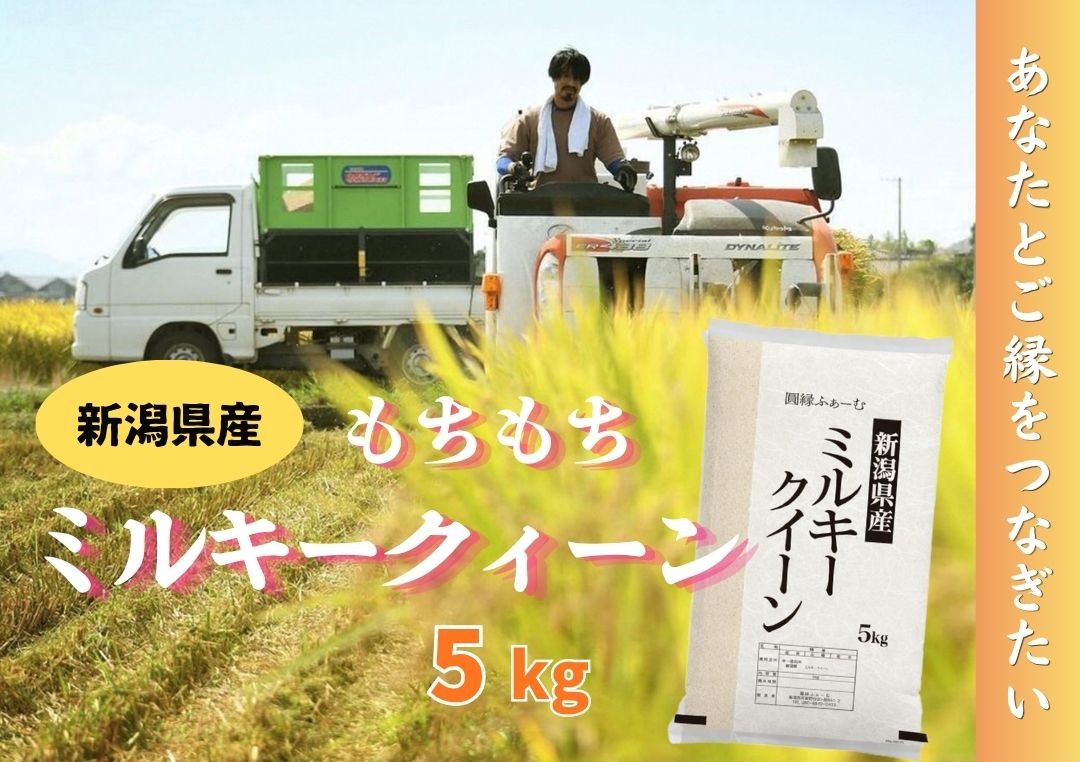 【令和7年産】新潟県阿賀野市産 ミルキークィーン 5kg 米 こめ コメ 白米 精米 3D15015