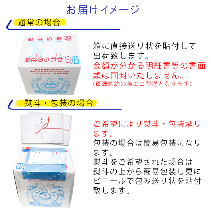 スワンレイクビール 世界大会金賞W受賞ポーター12本セット 阿賀野市 新潟県 阿賀野 ビ－ル クラフト 飲み比べ クラフトビール お酒 1S39024