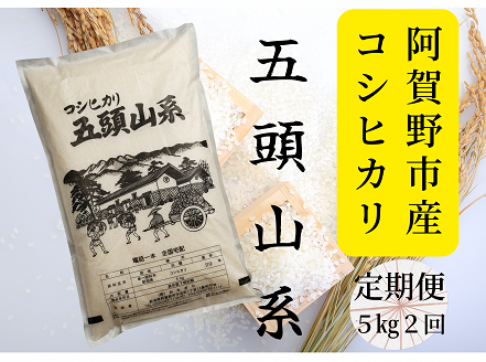 【2回定期便】「米屋のこだわり阿賀野市産」コシヒカリ5kg×2回 1E05018