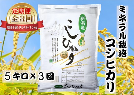 【令和6年産新米予約】【3ヶ月定期便】ミネラル栽培こしひかり 5kg×3回 計15kg 白米 精米 井上米穀店 10月上旬より順次発送予定 1I12030