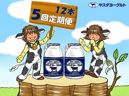 【5か月定期便】ヤスダヨーグルト 150g×12本×5回 小ボトル こだわり生乳 新鮮 濃厚 飲むヨーグルト のむよーぐると ヨーグルト 1B03031