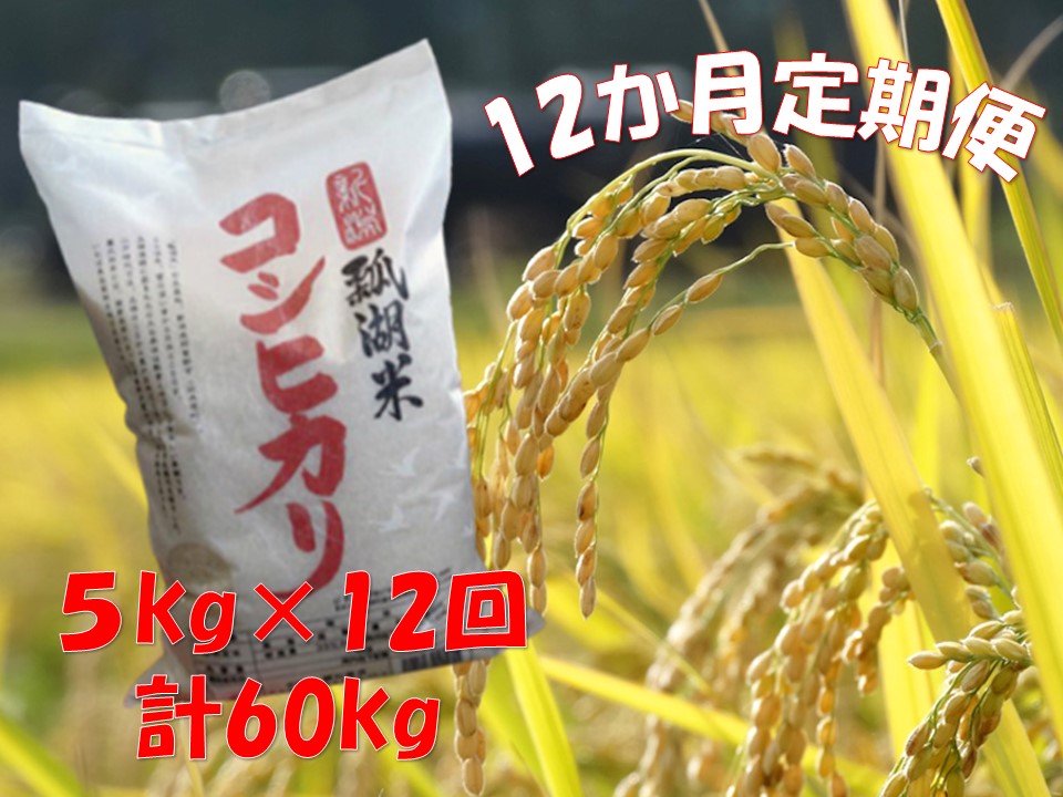 【12ヶ月定期便】新潟産 コシヒカリ「瓢湖米」 5kg×12回 1N10086