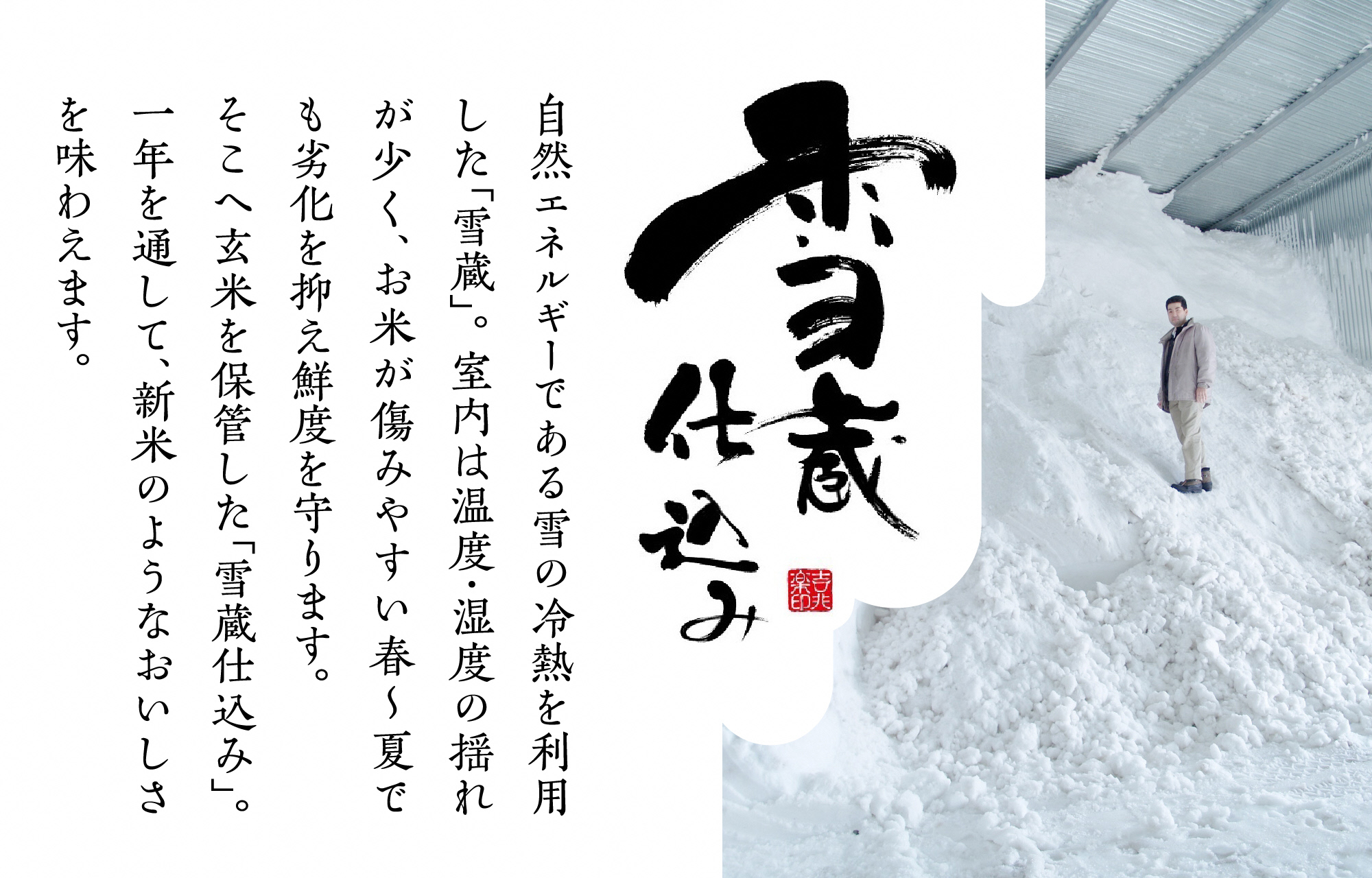 阿賀野産コシヒカリ「雪室米」10kg(雪室氷温熟成) 1J10026