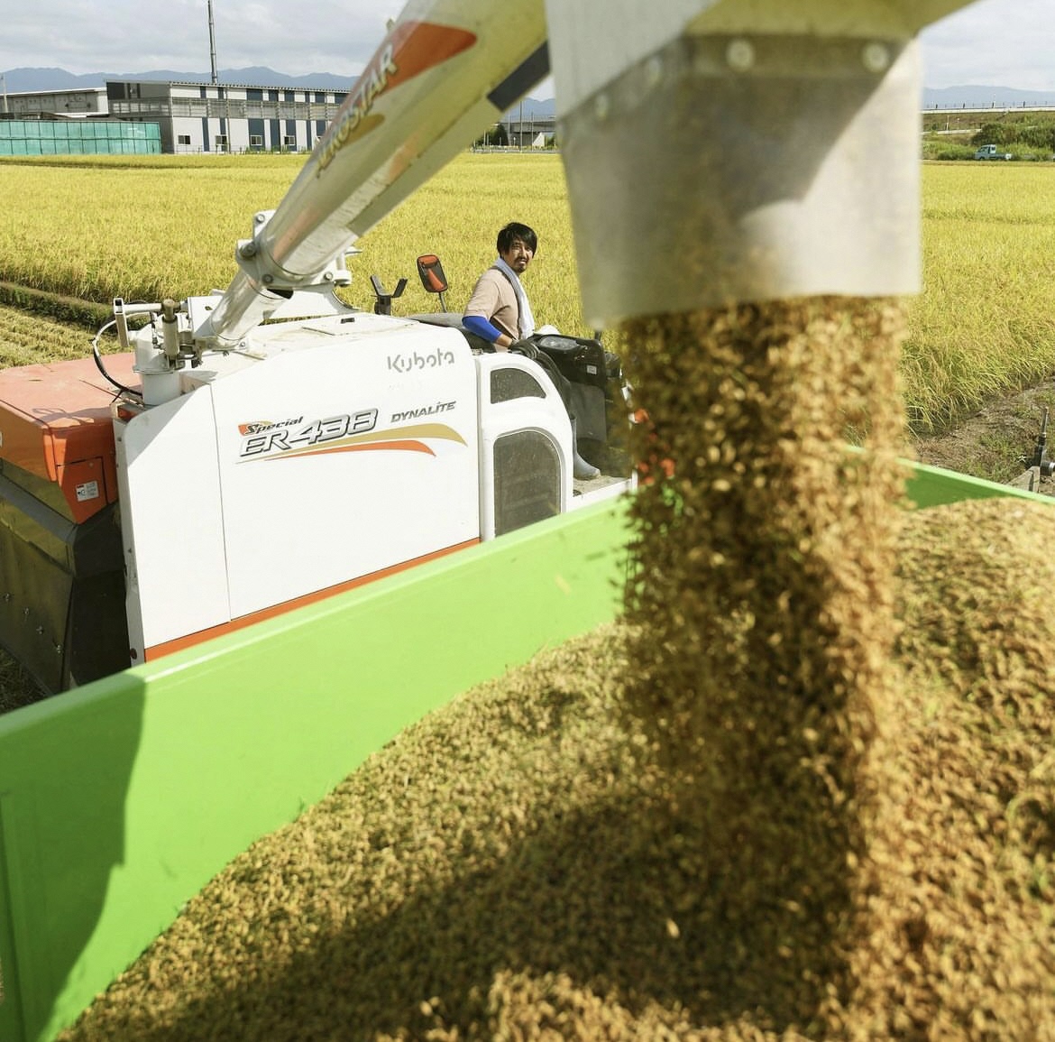 繧ウ繧キ繝偵き繝ェ邇邀ウ繝代ャ繧ッ縺翫°繧160ステ20繝代ャ繧ッ 邀ウ 邇邀ウ 縺翫°繧 繧ウ繧キ繝偵き繝ェ 逕倥∩ 菫晏ュ倬」 邁。蜊 謇玖サス 譁ー貎溽恁 髦ソ雉驥主ク 縺薙a 繧ウ繝。 繝ャ繝医Ν繝 繝ャ繝ウ繝√Φ 3D16016