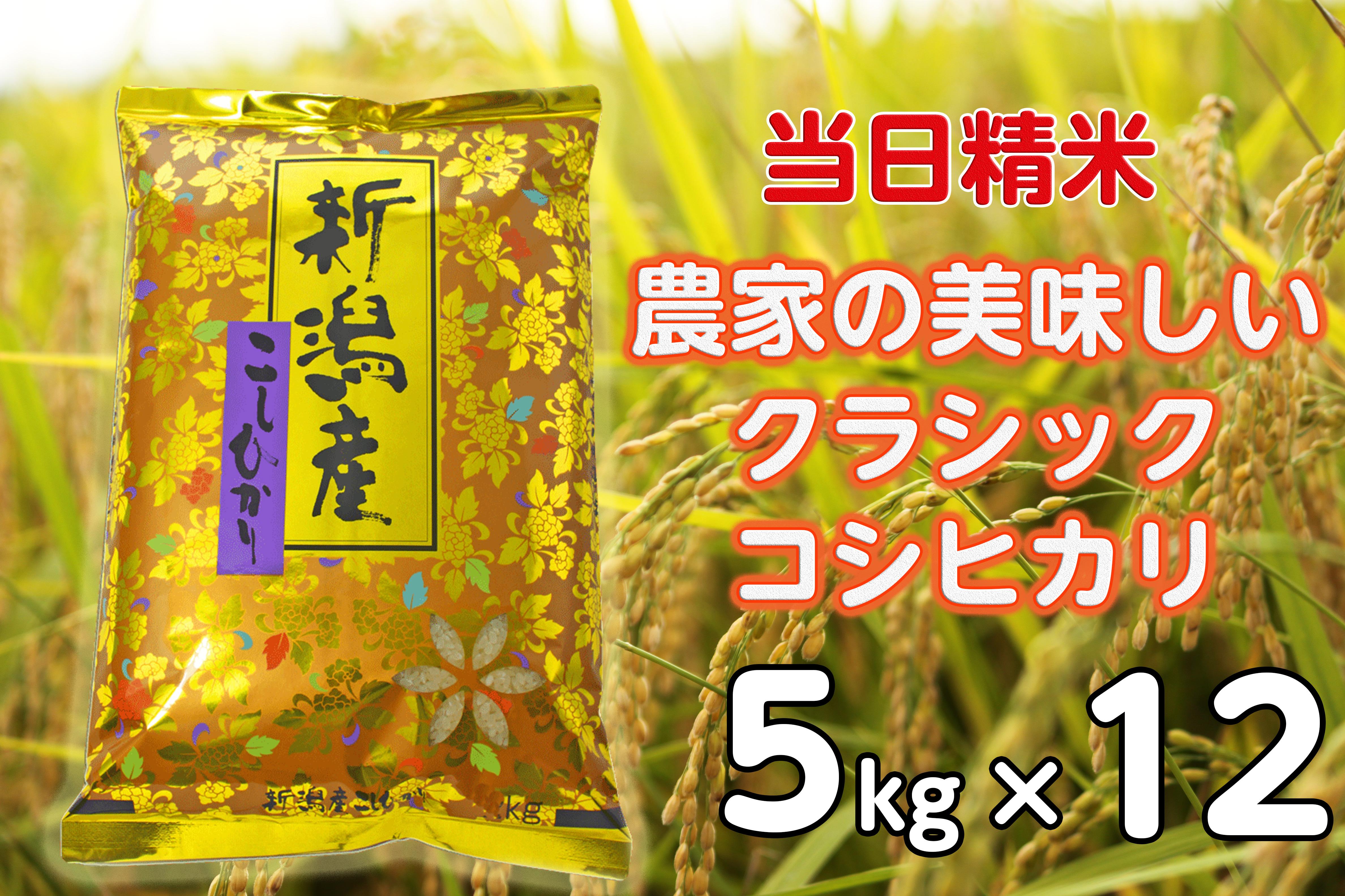 【令和6年産新米】【12ヶ月定期便】 当日精米! 農家直送 美味しい クラシックコシヒカリ 5kg×12回 計60kg 精米 白米 水原町農産センター 1F29136