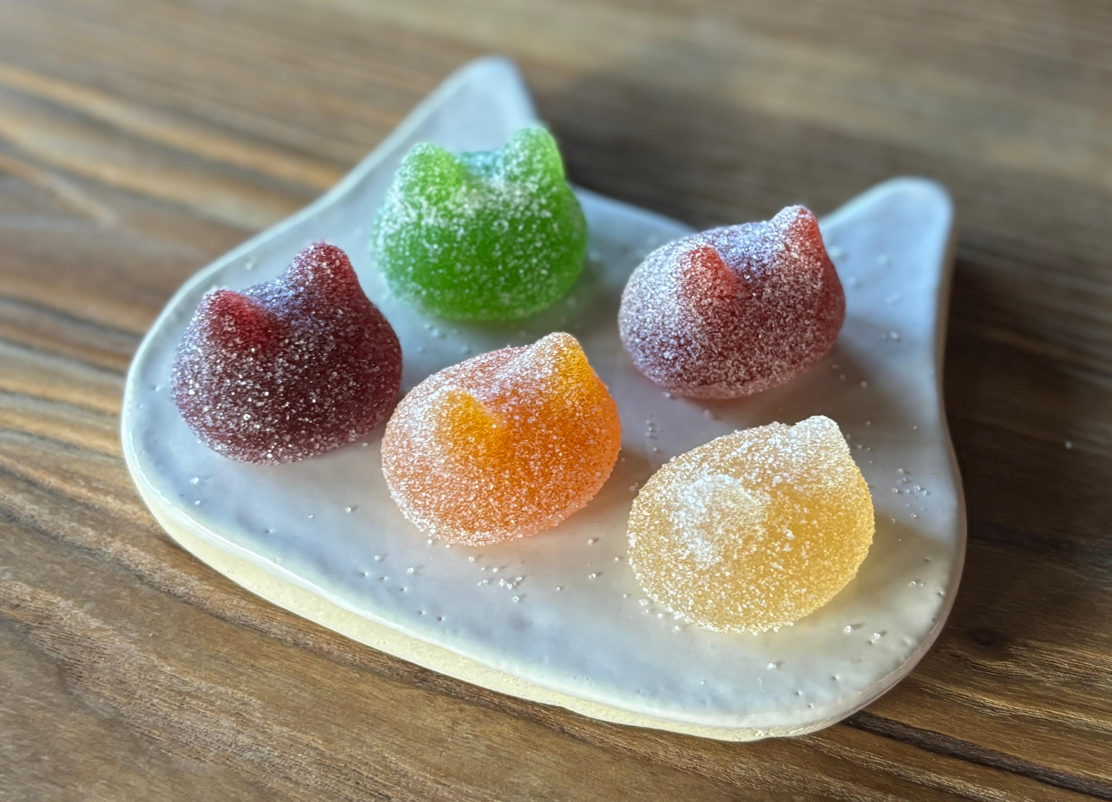 しょこら亭 シャ・ド・フリュイ（chat・do・fruits） 5個入り×3セット お菓子 菓子 スイーツ 洋菓子 フランス伝統菓子 贈答 1Z46018