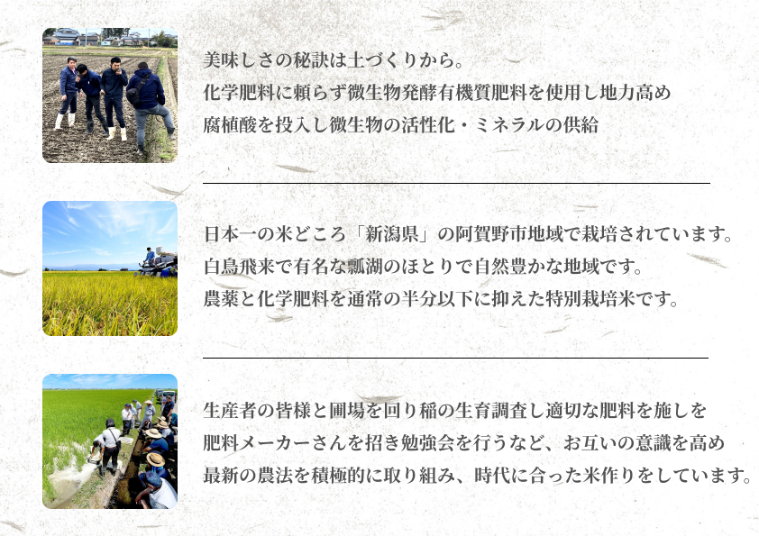 【新米】 3ヶ月定期便 特別栽培米 新之助 10kg (5kg×2袋)×3回 米杜氏 壱成 白米 精米 大粒 つや 光沢 弾力 芳醇 1H27070