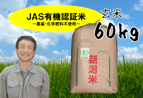 【令和6年産新米予約】JAS有機認証米コシヒカリ 玄米 60kg 10月上旬より順次発送予定 精米も可 1G11150