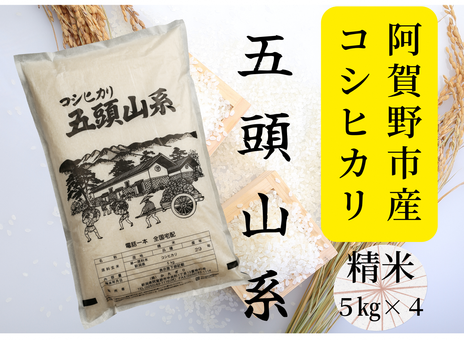 【新米】「米屋のこだわり阿賀野市産」コシヒカリ どーんと２０kg！ 1E03041