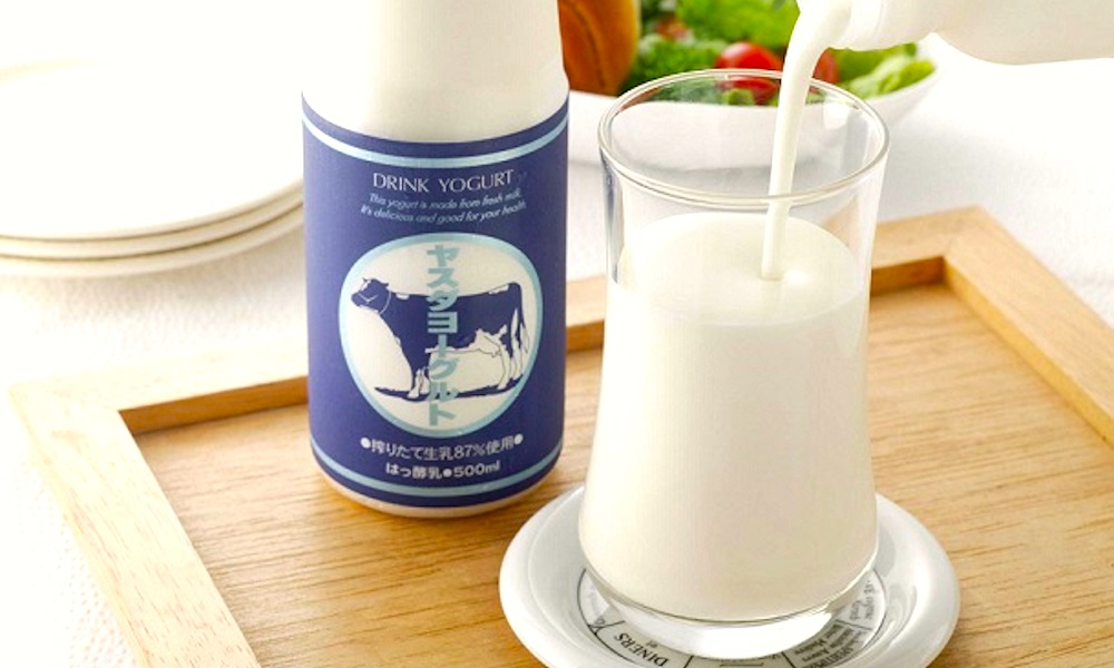 【3か月定期便】ヤスダヨーグルト 500ml×6本×3回 バラエティセット こだわり生乳 濃厚 飲むヨーグルト のむよーぐると ヨーグルト 1B29028