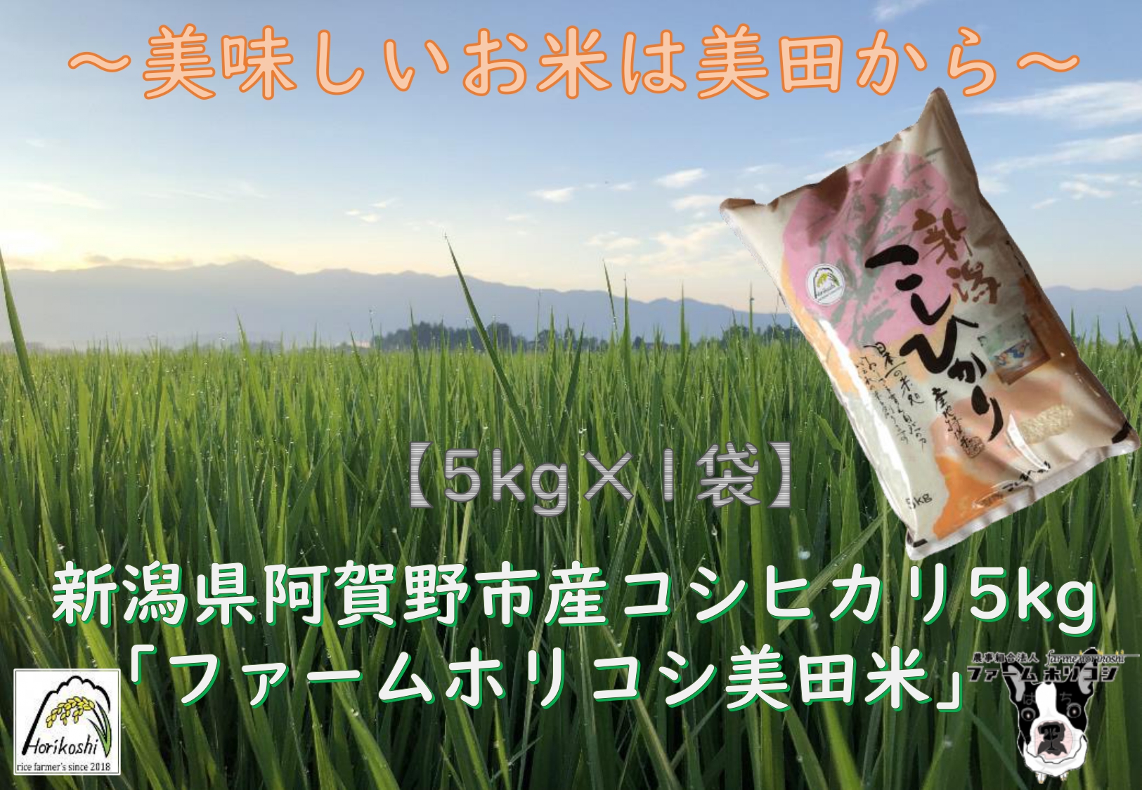 【新米】阿賀野市産 コシヒカリ 「ファームホリコシ美田米」 5kg 白米 精米 3H01011