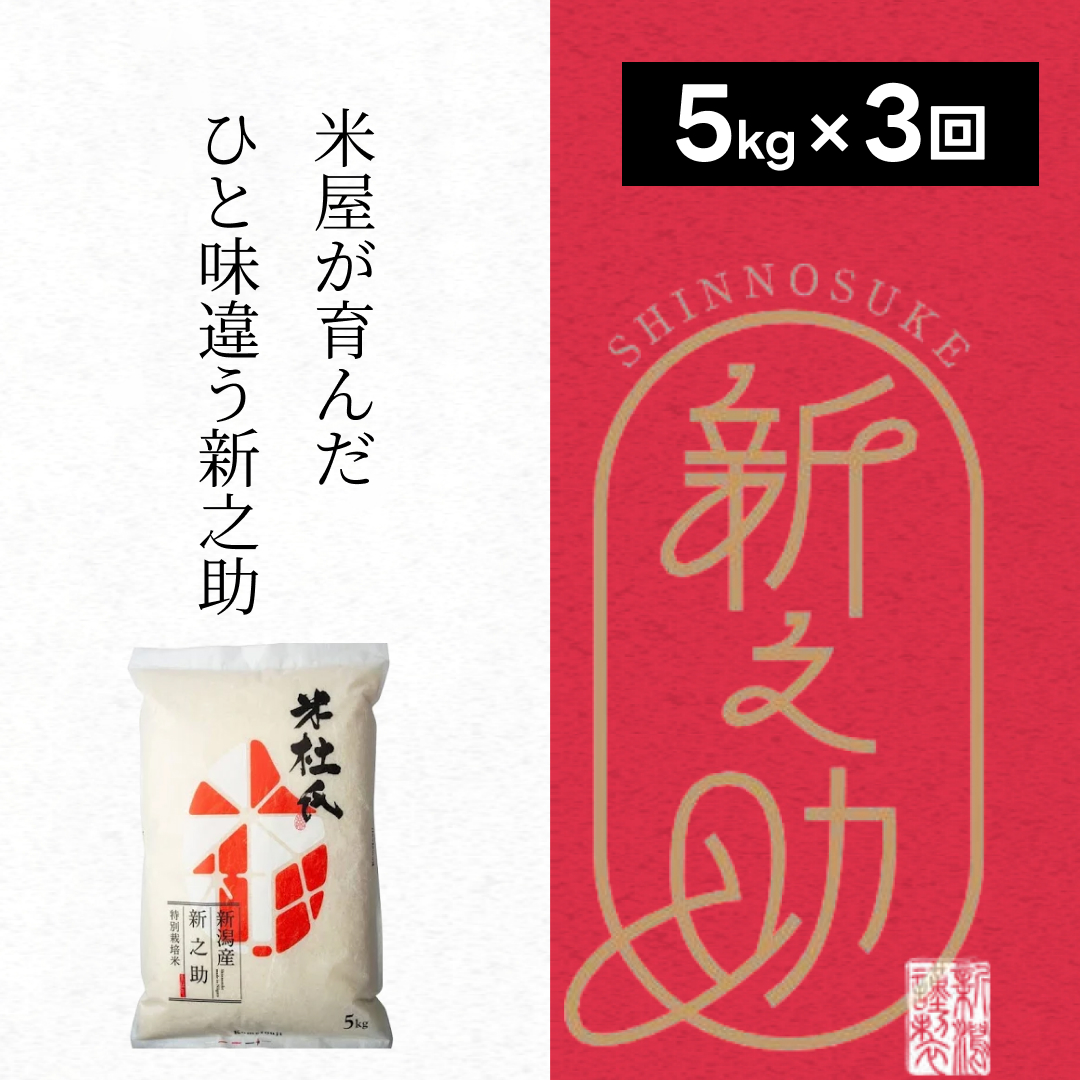  【新米】 【3ヶ月定期便】 特別栽培米 新之助 5kg (5kg×1袋)×3回 米杜氏 壱成 白米 精米 大粒 つや 光沢 弾力 芳醇 1H47036