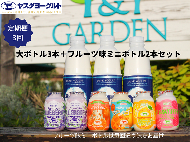 ã3ã¶æå®æäŸ¿ãã€ã¹ããšãŒã°ã«ã ã¡ããè¶³ããã«ãŒãã»ã¬ã¯ã·ã§ã³ã»ããã詊ã䟿 倧ããã«800gÃ3æ¬ïŒå°ããã«150g2æ¬ ç¡æ·»å æŸãã㊠ãã ããçä¹³ æ¿å 飲ããšãŒã°ã«ã ã®ãããŒãããš ãšãŒã°ã«ã 1B86019