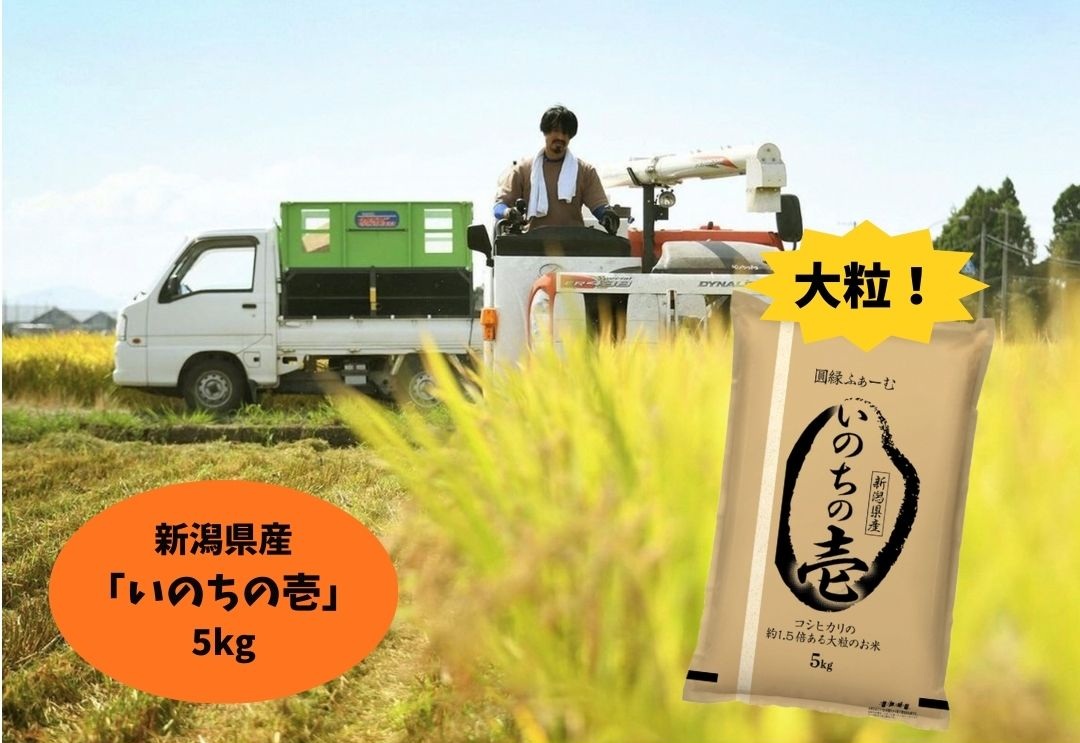 縲蝉サ、蜥7蟷エ逕」縲第眠貎溽恁髦ソ雉驥主クら肇 縺縺ョ縺。縺ョ螢ア 5kg 3D12023