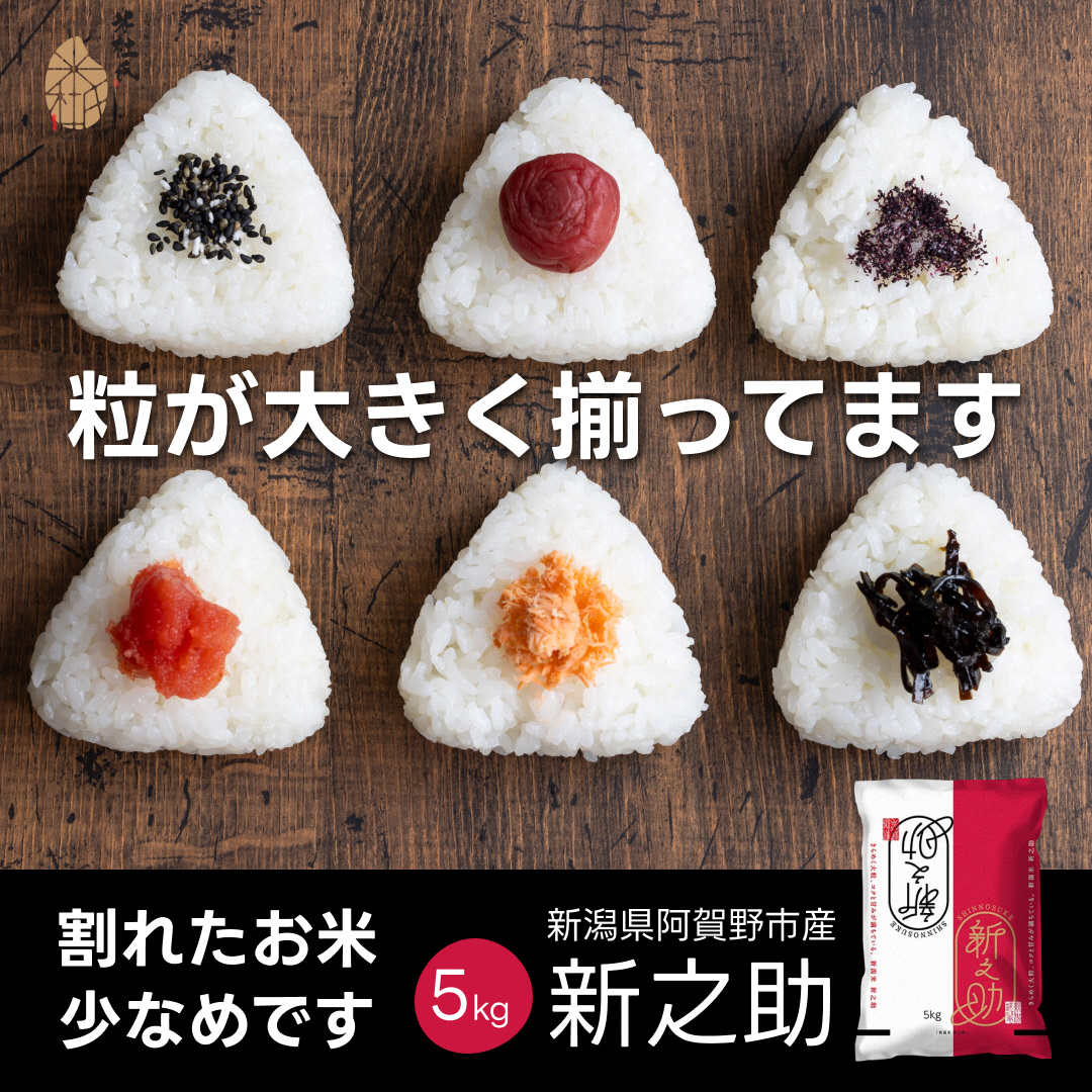 【令和6年産】 新潟県阿賀野市産 新之助 5kg 米杜氏 壱成 白米 精米 大粒 つや 光沢 弾力 芳醇 1H51014