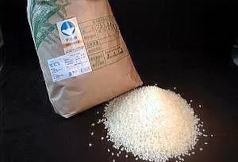 【6か月定期便】新潟県認証 特別栽培米 コシヒカリ 5kg×6回  1G15060