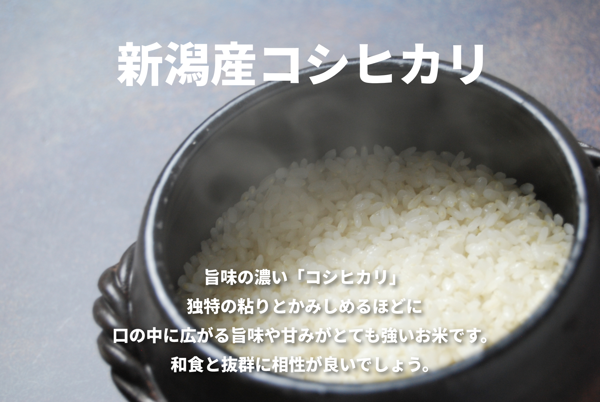 【5回定期便】米杜氏 新潟県阿賀野市産 特別栽培米コシヒカリ5kg×5回 1H04048